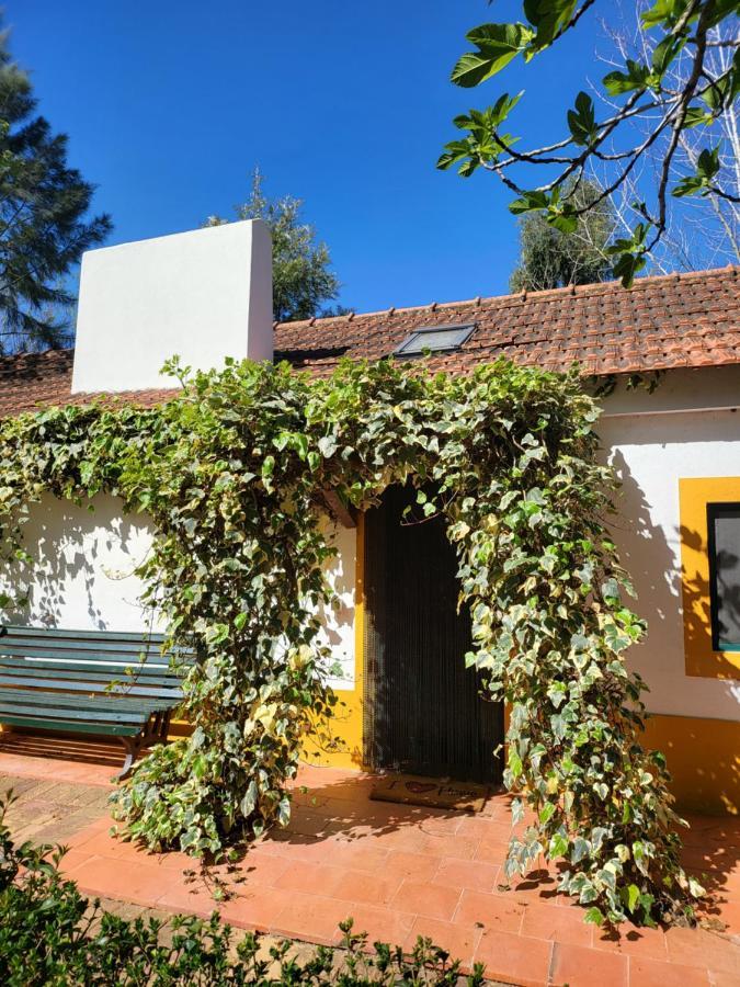 Quinta Da Mimosa Hotel Fajarda Exterior photo